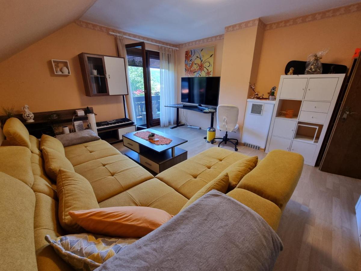 Haus Flora - Ferienwohnung بودينسدورف المظهر الخارجي الصورة