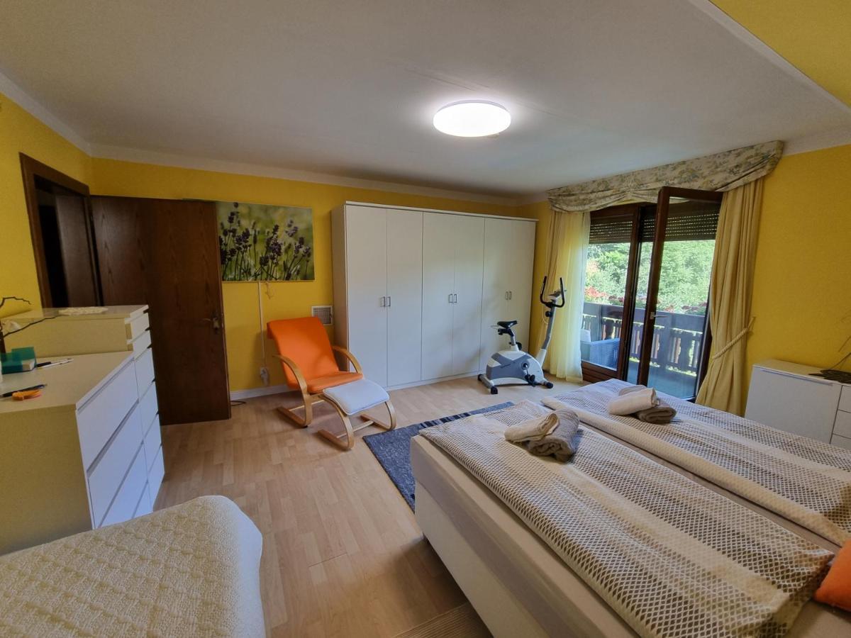 Haus Flora - Ferienwohnung بودينسدورف المظهر الخارجي الصورة