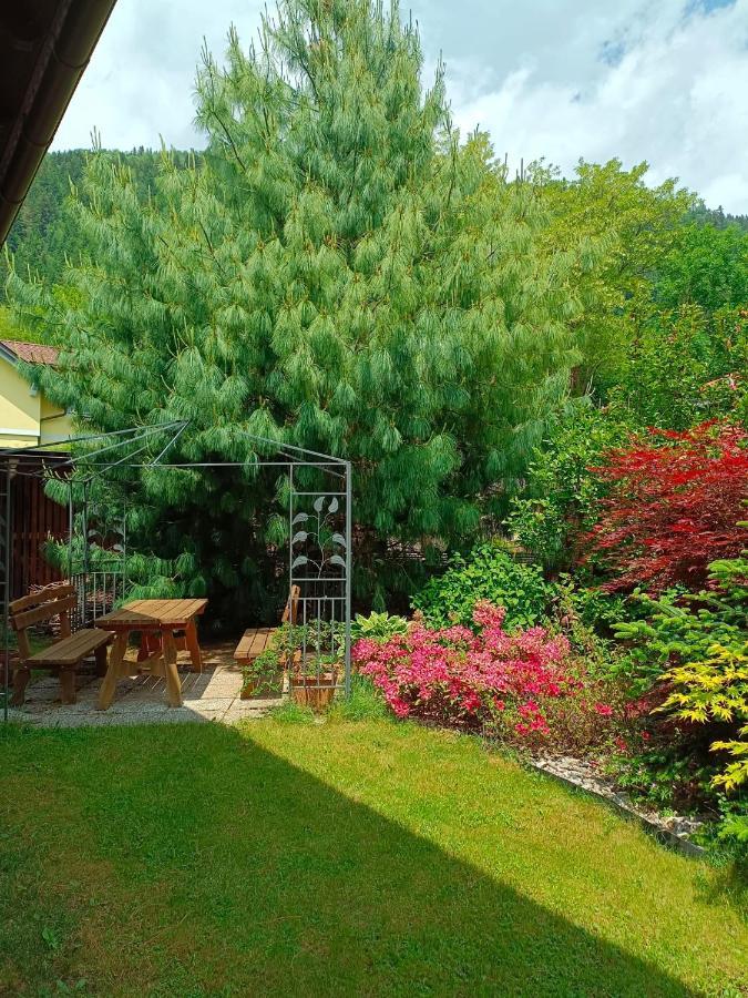 Haus Flora - Ferienwohnung بودينسدورف المظهر الخارجي الصورة
