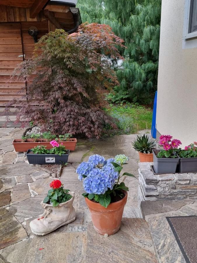 Haus Flora - Ferienwohnung بودينسدورف المظهر الخارجي الصورة