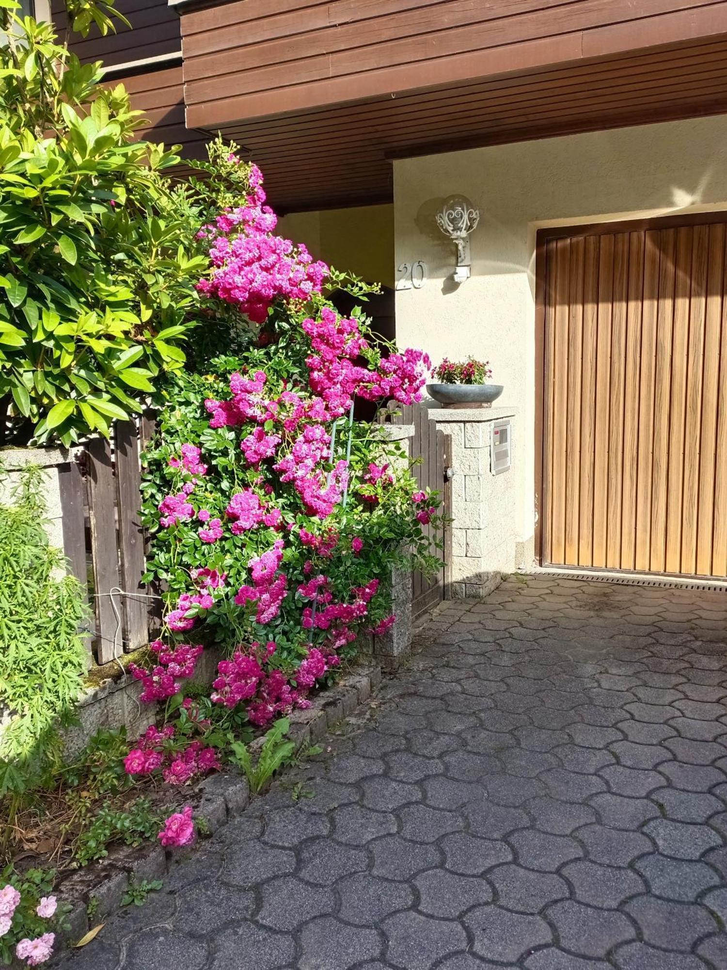 Haus Flora - Ferienwohnung بودينسدورف المظهر الخارجي الصورة