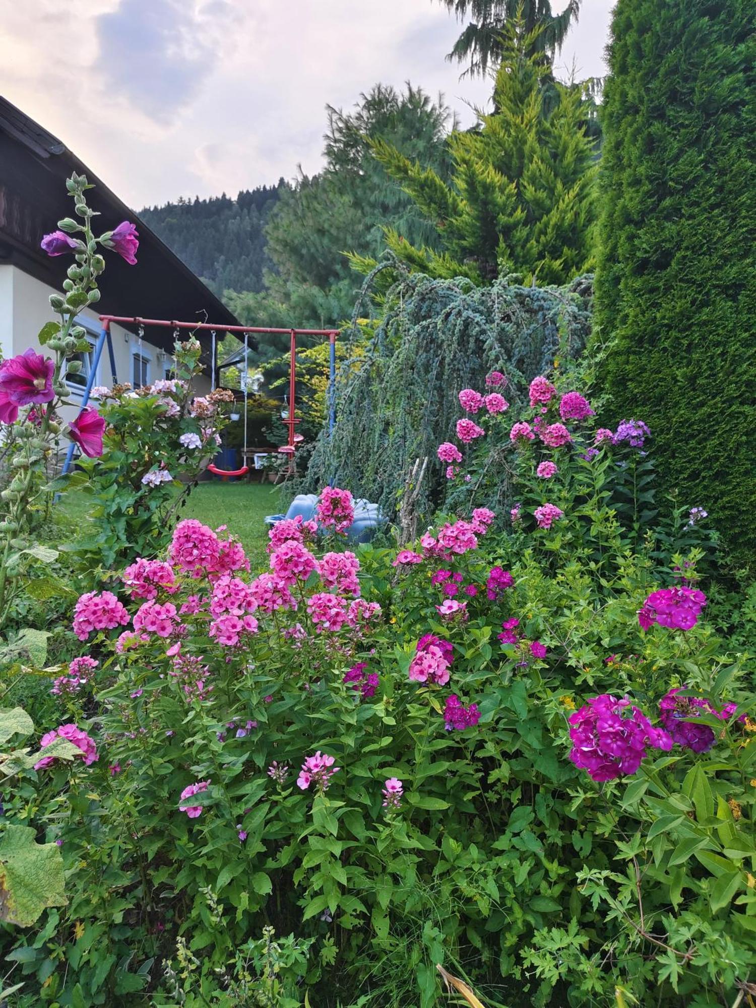 Haus Flora - Ferienwohnung بودينسدورف المظهر الخارجي الصورة